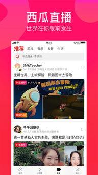 娱乐吃瓜酱视频模板免费